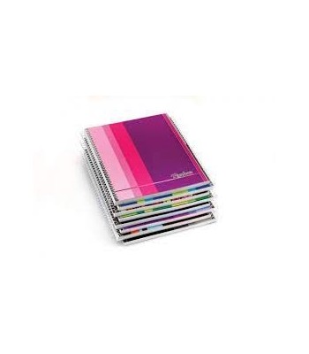 CUADERNO TRIUNFANTE 29 7 T...