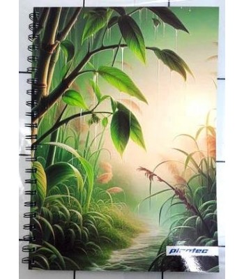 CUADERNO ART NATURE 29 7...