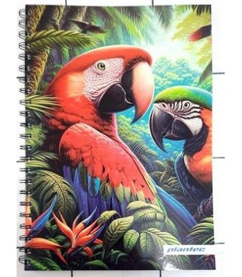 CUADERNO ART NATURE 29 7...