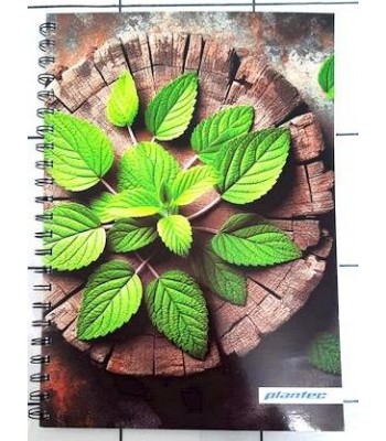 CUADERNO ART NATURE 29 7...