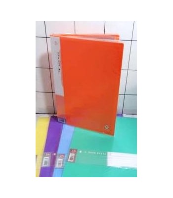 CARP FOLIO x20 A4   COLORES...