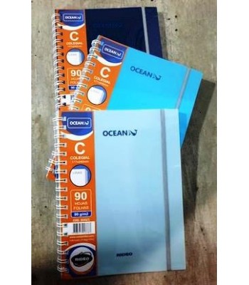 CUADERNO RIDEO 17x24 T P...