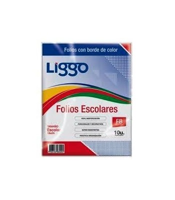 FOLIO ESCOLAR LIGGO BORDE...