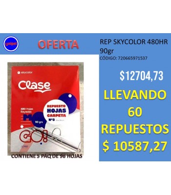 - OFERTA REP.SKYCOLOR X 480...