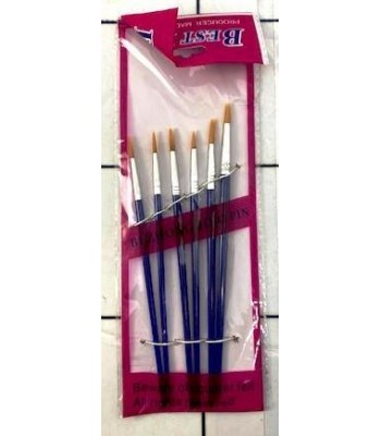SET PINCEL x6 REDONDO ECO...