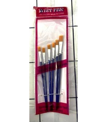 SET PINCEL x6 CHATO ECO...