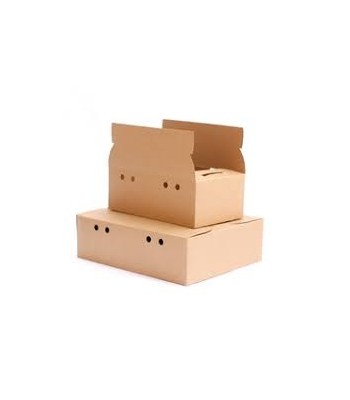 CAJA KRAFT DELIVERY COMBO 1...