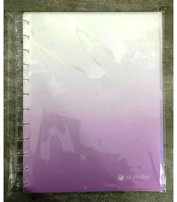 CARP FOLIOS x20 LILA...