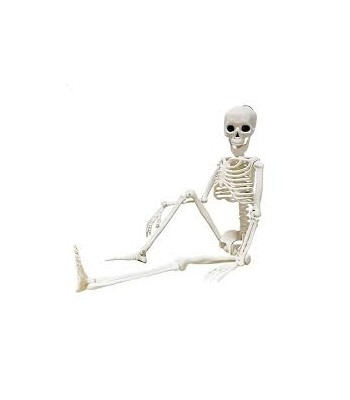 ESQUELETO COLGANTE ARTICULADO