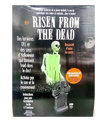 ESQUELETO 175cm CON...