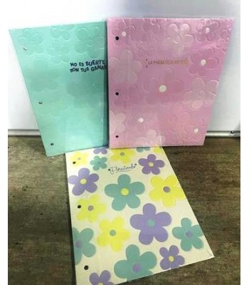 CARPETA DIBUJO Nº3 RY...