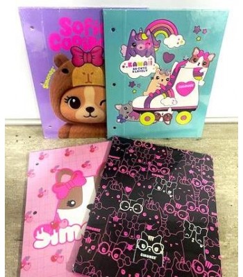 CARPETA DIBUJO Nº3 RY...