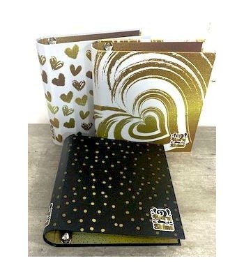 CARPETA 3X40 REXON BORN TO...