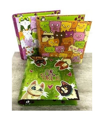 CARPETA 3X40 REXON CAT...