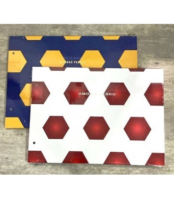 CARPETA DIBUJO Nº5 RY...