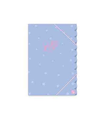 CARPETA 3 SOLAPAS OF RY...