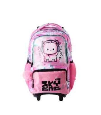 MOCHILA SKYBAG C CARRO...