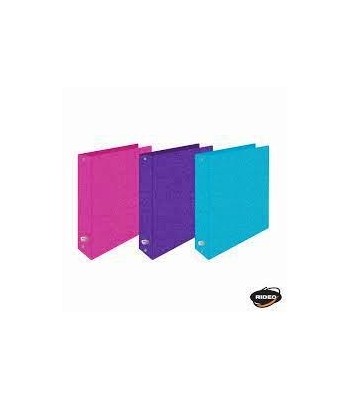 CARPETA 3x40 ESCOLAR RIDEO...