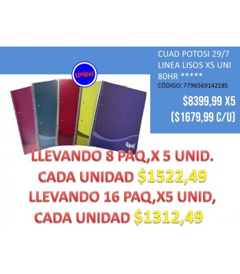 - OFERTA 29/7 POTOSI X5 UNID -