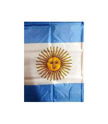 BANDERA ARGENTINA C SOL...